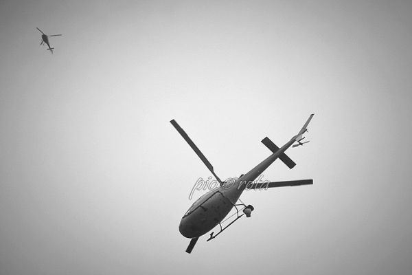 6b-n97F22CC5-1B79-F5A7-76E7-E01AFB761BD1.jpg